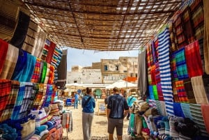 Vanuit Marrakech: privé dagtrip naar de kuststad Essaouira