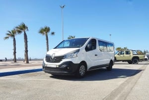 Vanuit Marrakech: privé dagtrip naar de kuststad Essaouira