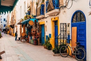 Vanuit Marrakech: privé dagtrip naar de kuststad Essaouira