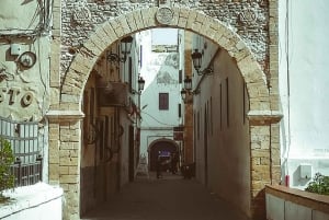 Vanuit Marrakech: privé dagtrip naar de kuststad Essaouira