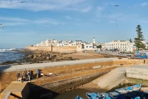 Vanuit Marrakech: privé dagtrip naar de kuststad Essaouira