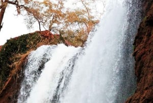 From Marrakech : Private 1-Day Trip To Ouzoud Waterfalls