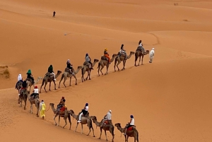 Fra Marrakech til Merzouga: 3-dagers drømmereise og luksusleir