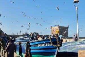 Desde Marrakech : Privado 2 Días A Essaouira Ciudad Mogador