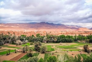 Från Marrakech: Privat 3-dagars lyxig Merzouga-ökentur
