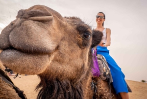 Da Marrakech: tour privato di lusso di 3 giorni nel deserto di Merzouga