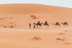Fra Marrakech: Privat 3-dagers Sahara-tur til Erg Chigaga