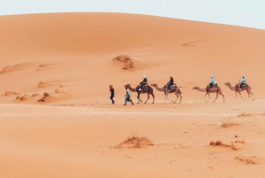 Fra Marrakech: Privat 3-dagers Sahara-tur til Erg Chigaga