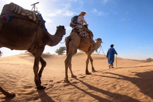 Vanuit Marrakech: Privé 3-daagse Sahara-trip naar Erg Chigaga