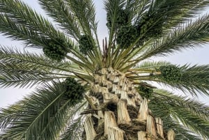 Vanuit Marrakech: Privé 3-daagse Sahara-trip naar Erg Chigaga