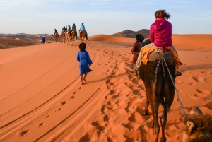 Vanuit Marrakech: Privé 3-daagse Sahara-trip naar Erg Chigaga