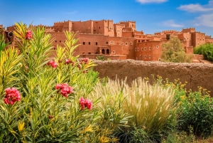 Vanuit Marrakech: Privé 3-daagse Sahara-trip naar Erg Chigaga