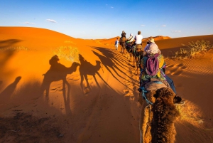 Vanuit Marrakech: Privé 3-daagse Sahara-trip naar Erg Chigaga