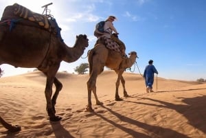 Z Marrakeszu: Prywatna 4-dniowa wycieczka po pustyni Merzouga do Fezu