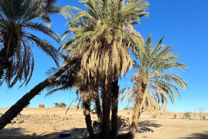 Von Marrakesch: Private 5-tägige Tour nach Zagora und in die Wüste Merzouga