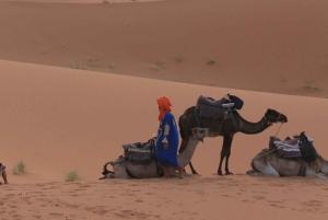 Von Marrakesch: Private 5-tägige Tour nach Zagora und in die Wüste Merzouga