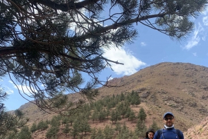 Au départ de Marrakech : Journée de randonnée et de trekking au sommet de l'Aourirt N'ouassif