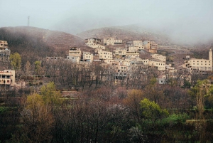 Au départ de Marrakech : Journée de randonnée et de trekking au sommet de l'Aourirt N'ouassif