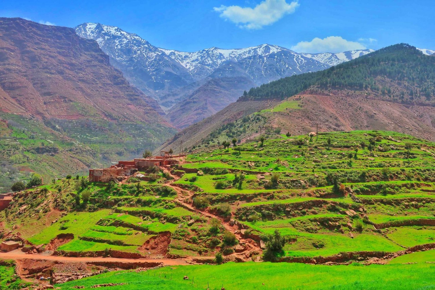 Au départ de Marrakech : Excursion privée d'une journée dans les montagnes de l'Atlas