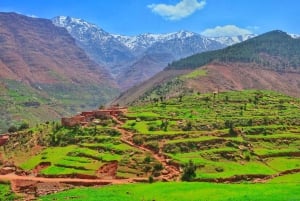 Da Marrakech: gita giornaliera privata sulle montagne dell'Atlante