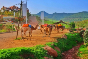 Da Marrakech: gita giornaliera privata sulle montagne dell'Atlante