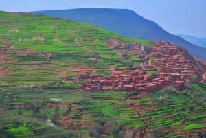 Da Marrakech: gita giornaliera privata sulle montagne dell'Atlante
