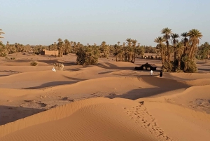 From Marrakech: Private Chegaga Desert Star Gazing 4WD Tour