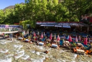 Marrakech : Prive naar Ourika vallei Atlasgebergte & Lunch