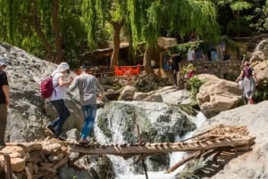 Marrakech : Prive naar Ourika vallei Atlasgebergte & Lunch