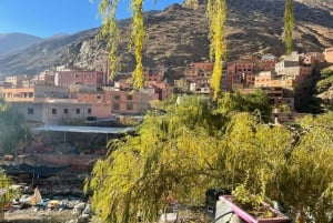 Marrakech : Prive naar Ourika vallei Atlasgebergte & Lunch