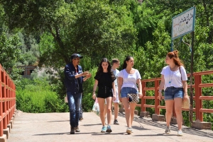 Au départ de Marrakech : Excursion privée d'une journée dans les montagnes de l'Atlas