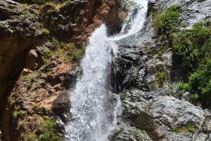 Au départ de Marrakech : Excursion privée d'une journée dans les montagnes de l'Atlas