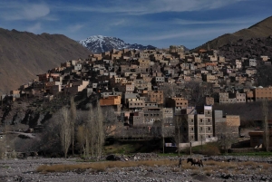 Au départ de Marrakech : Excursion privée d'une journée dans les montagnes de l'Atlas