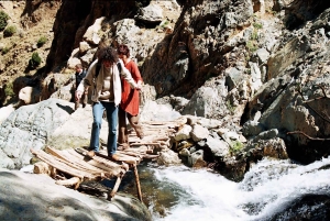 Au départ de Marrakech : Excursion privée d'une journée dans les montagnes de l'Atlas