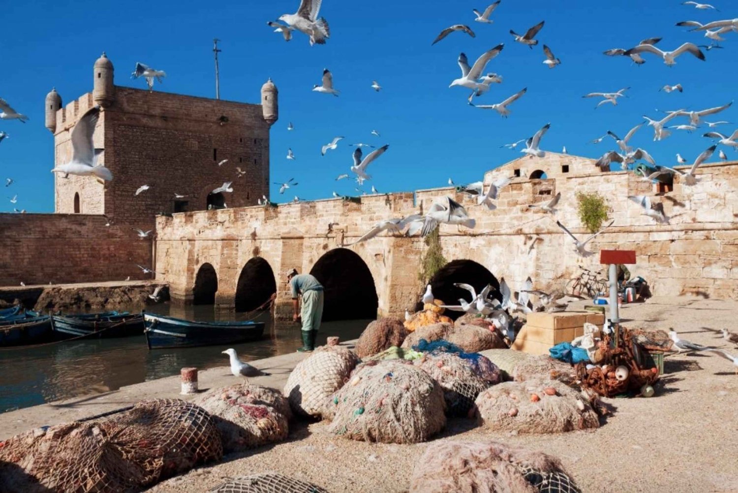 Från Marrakech: dagsutflykt i liten grupp till Essaouira Mogador