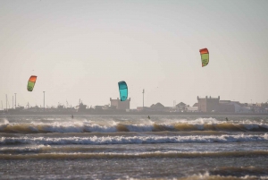 Vanuit Marrakech: dagtrip in kleine groep naar Essaouira Mogador