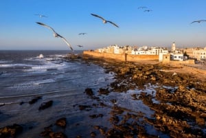 Vanuit Marrakech: dagtrip in kleine groep naar Essaouira Mogador