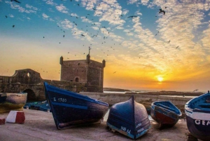 Vanuit Marrakech: dagtrip in kleine groep naar Essaouira Mogador