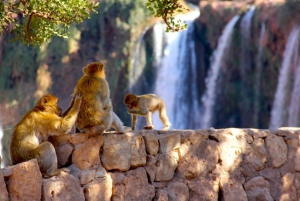 Ab Marrakesch: Private Tagestour zu den Ouzoud-Wasserfällen mit Bootsfahrt