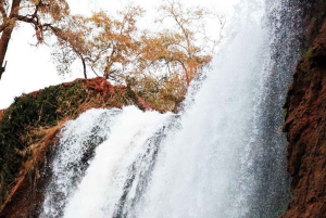Ab Marrakesch: Private Tagestour zu den Ouzoud-Wasserfällen mit Bootsfahrt