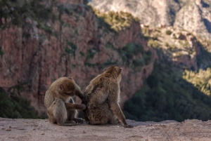 Ab Marrakesch: Private Tagestour zu den Ouzoud-Wasserfällen mit Bootsfahrt