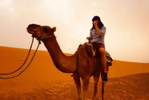 Z Marrakeszu: Prywatna wycieczka 2-dniowa na magiczną pustynię Merzouga