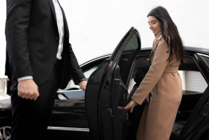 Från Marrakech: Privat transfer till Essaouira