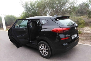 Från Marrakech: Privat transfer till Essaouira