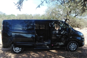 Från Marrakech: Privat transfer till Essaouira