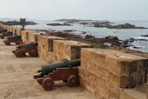 Från Marrakech: Privat transfer till Essaouira