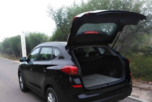 Från Marrakech: Privat transfer till Essaouira