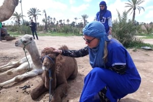 From Marrakech: Half-Day Desert Quad Trip with Camel Ride