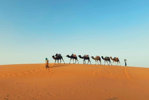 Marrakesh: kameel, sandboarden en Merzouga, 3-daagse trip