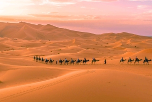 Marrakesh: kameel, sandboarden en Merzouga, 3-daagse trip